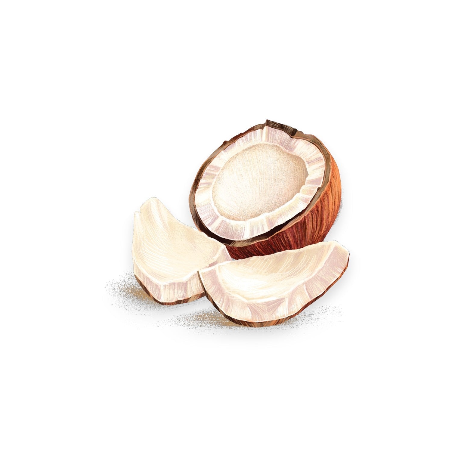 Кокосово масло (COCOS NUCIFERA OIL)