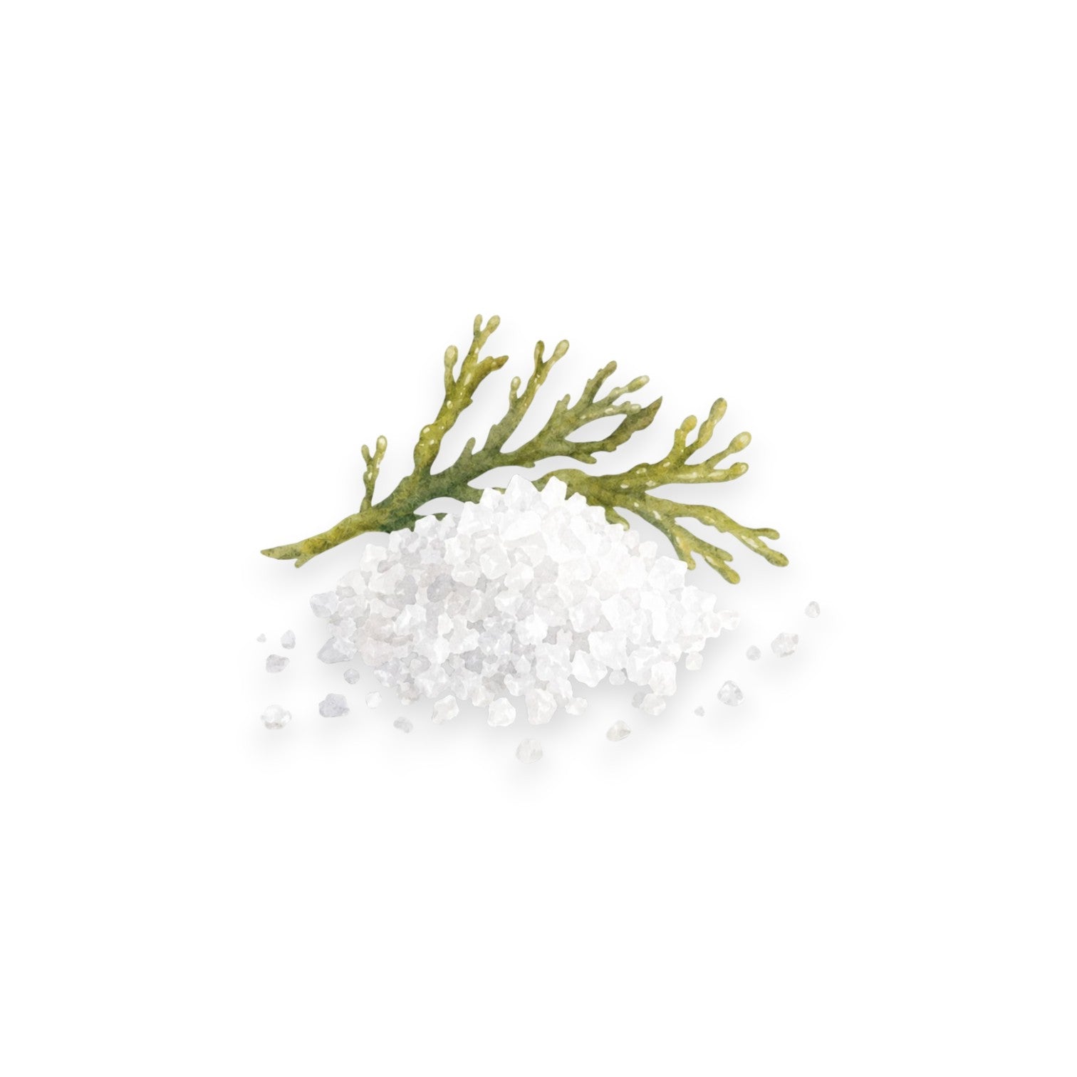 Морска сол (MARINE SALT)