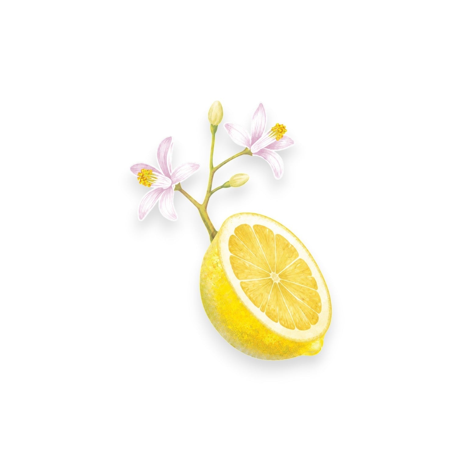 Витамин С (SODIUM ASCORBYL PHOSPHATE)